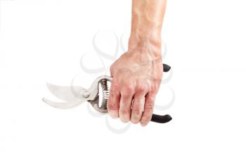 Garden scissors in hand isolated on a white background 