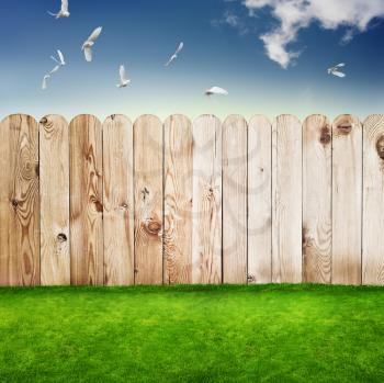 Wooden fence in a green grass 