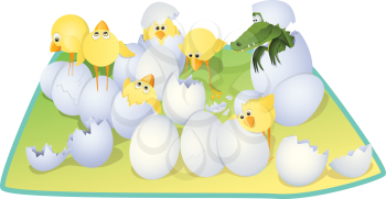 Royalty Free Clipart Image of Chicks and a Crocodile Hatching