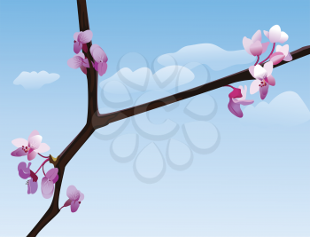 Royalty Free Clipart Image of Cherry Blossoms Against a Blue Sky