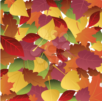 Royalty Free Clipart Image of an Autumn Leaf Background