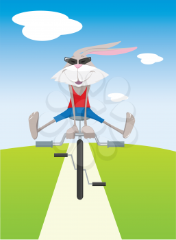 Royalty Free Clipart Image of a Rabbit on a Bicycle