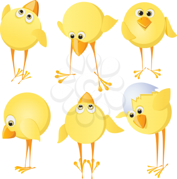 Royalty Free Clipart Image of Chicks