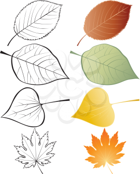 Royalty Free Clipart Image of Two Versions of Leaves