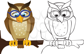 Owl on branch with glasses. Color and outline