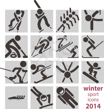 Winter sport icons 2014
