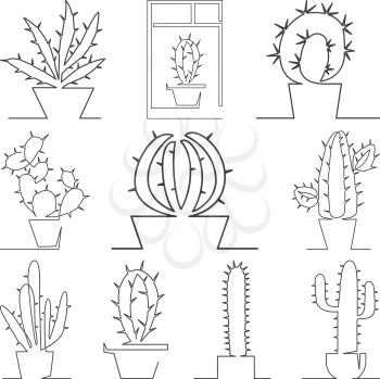 Indoor flower cactus painted in one line style set