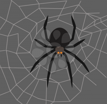 Spider in the center of the web - vector illustration