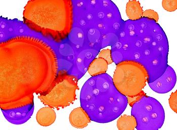 Paint spots purple orange merging textured on white.Colorful background hand drawn with bright inks and watercolor paints. Color splashes and splatters create uneven artistic modern design.
