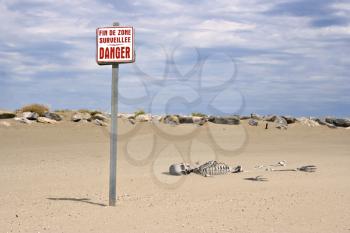 3d skeleton on a beach - danger concept