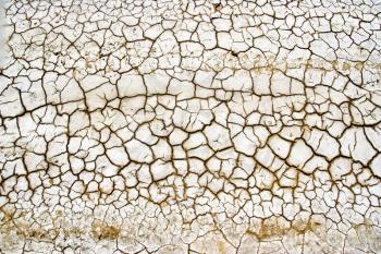 A dry deshydrate cracked terrain