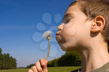 A Young child blowing dandelion