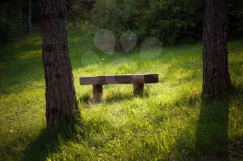 A bench in forest under the morning light