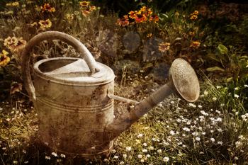 Vintage picture of a water can in a garden