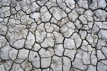A cracked dry ground texture