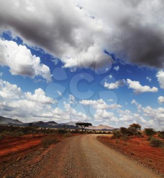 Kenyan landscapes