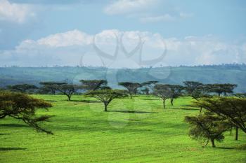 Royalty Free Photo of Kenya
