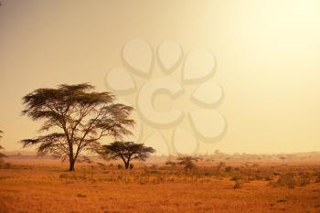 Royalty Free Photo of Africa