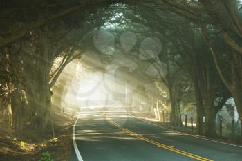 Royalty Free Photo of a Road Through Trees