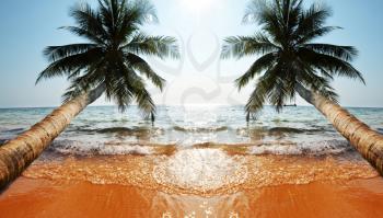 Royalty Free Photo of Two Palm Trees in the Adaman Sea in Thailand