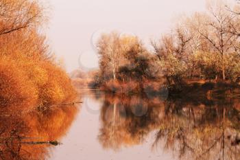 Royalty Free Photo of a Forest and Lake in Autumn