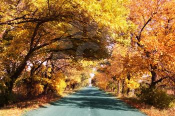 Royalty Free Photo of a Road in Autumn