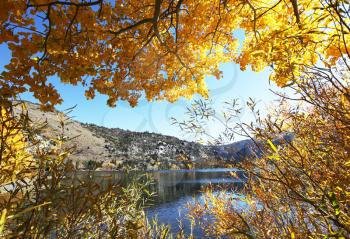 Royalty Free Photo of a Lake and Forest in Autumn