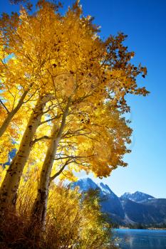 Royalty Free Photo of Autumn is Sierra Nevada