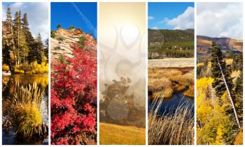 Royalty Free Photo of a Collage of Sierra Nevada in Autumn