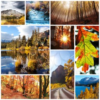 Royalty Free Clipart Image of a Collage of Sierra Nevada in Autumn