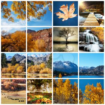 Royalty Free Photo of a Collage of Autumn Scenes