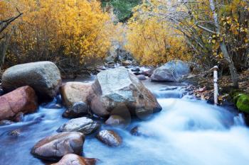 Royalty Free Photo of a Creek and Forest in Autumn