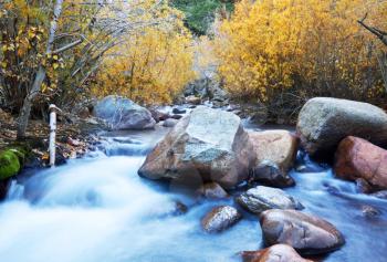 Royalty Free Photo of a Creek in Autumn