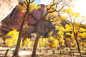 Royalty Free Photo of Zion Nation Park in Autumn