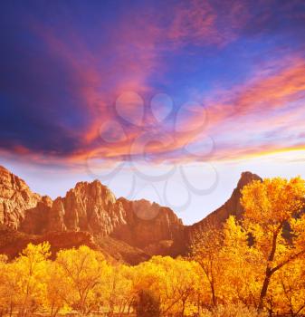 Royalty Free Photo of Zion National Park in Autumn