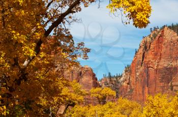 Royalty Free Photo of Zion National Park in Autumn