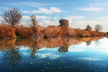 Royalty Free Photo of a Rural Lake Landscape