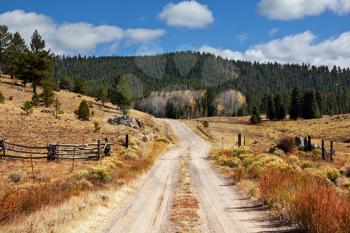 Royalty Free Photo of a Country Road