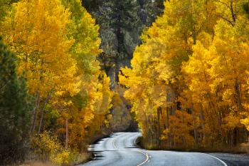 Royalty Free Photo of a Road in Sierra Nevada
