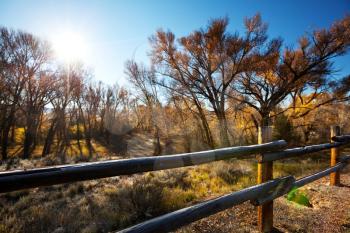 Royalty Free Photo of a Fence and Trees in Autumn