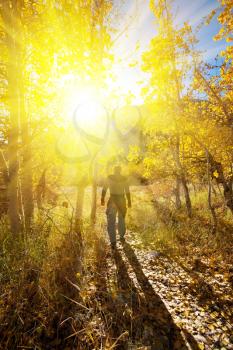 Royalty Free Photo of a Man in a Forest in Autumn