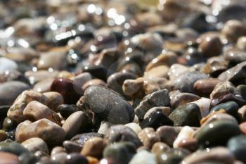 Royalty Free Photo of a Beach Stones