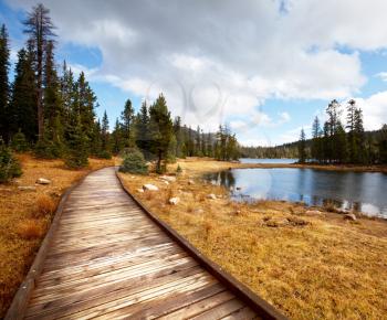 Royalty Free Photo of a Boardwalk Through a Forest