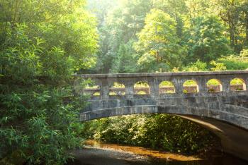 Royalty Free Photo of a Bridge in a Forest