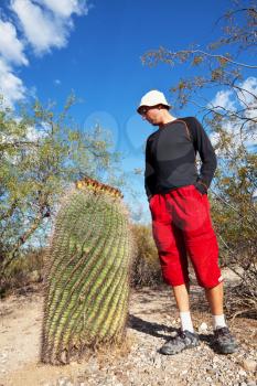 Royalty Free Photo of a Cactus in Saguaro National Park