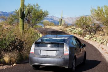 Royalty Free Photo of a Car Driving in a Cactus Park
