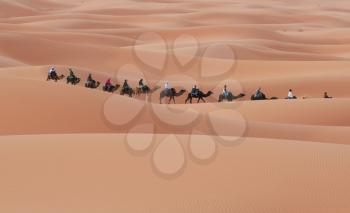 Royalty Free Photo of a Caravan in the Desert
