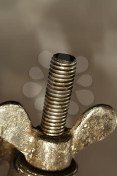 Royalty Free Photo of a Wing Nut