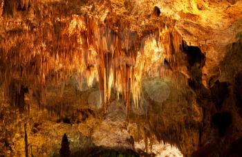 Royalty Free Photo of Carlsbad Caverns National Park in USA
