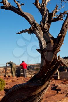 Royalty Free Photo of Tourists at the Colorado Monument